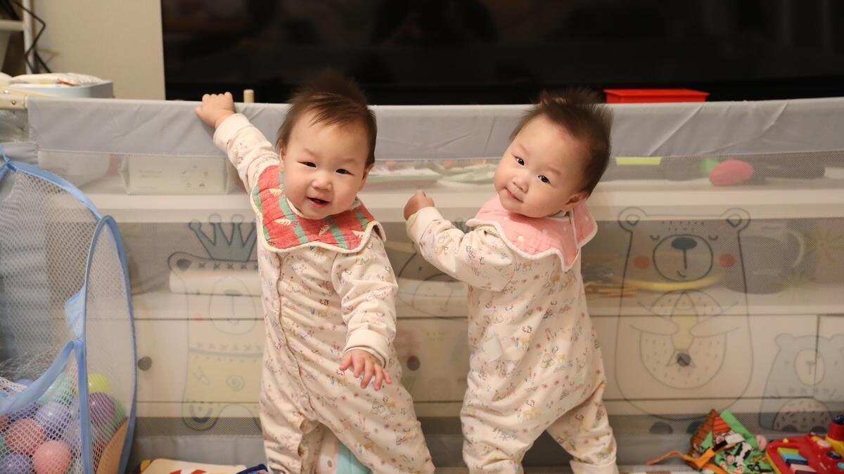    Близнецы:Unsplash / Jamie Lee