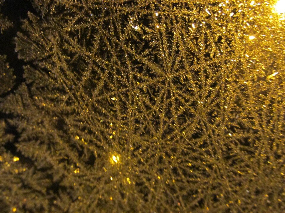     Фото Елены Федяшевой  из архива «КП»