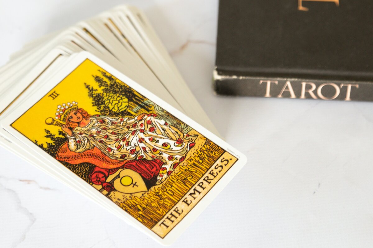     Бывший разработчик компьютерных игр Майк Омер выпустил новый роман «Тринадцатая карта»