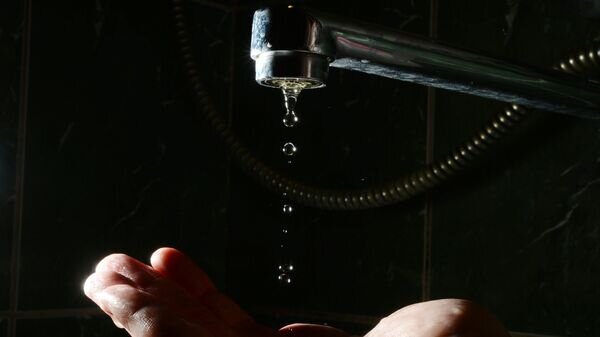   © photo: Sputnik / Konstantin Chalabov