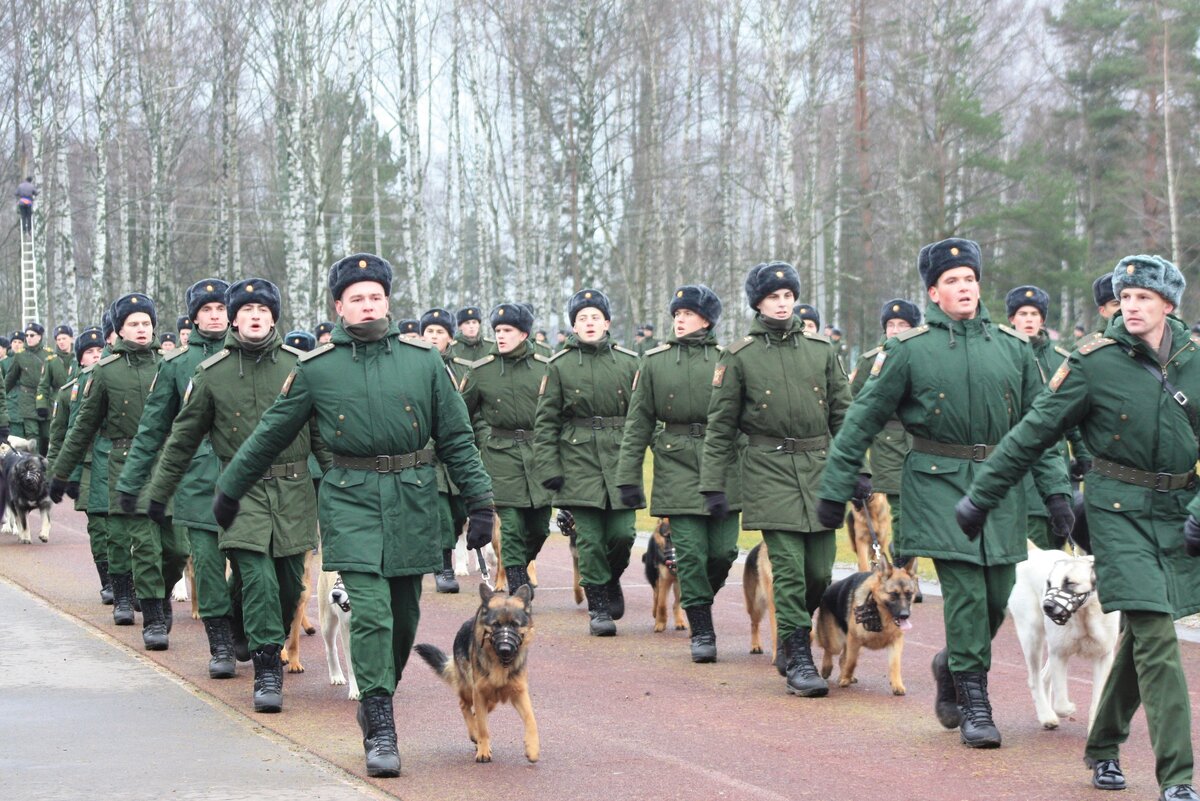 Весело было :)
