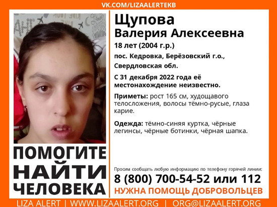     Фото: поисковый отряд "ЛизаАлерт".