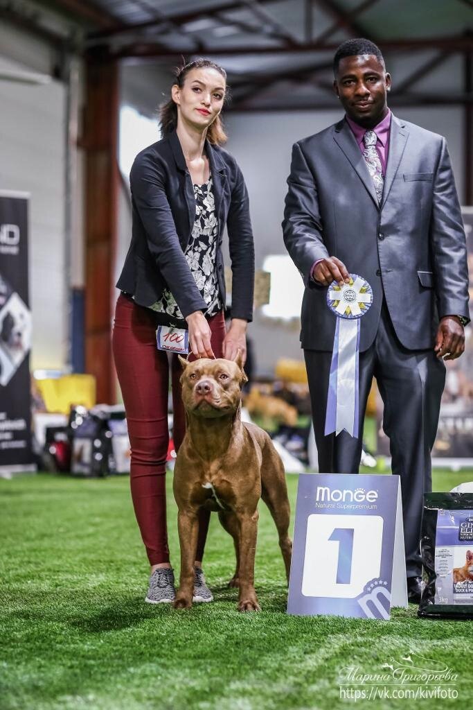   Прайтер Че Гевара РПП