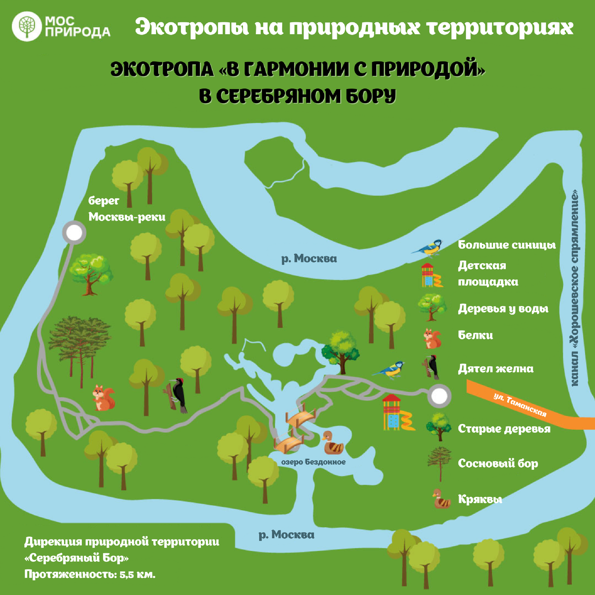 Экологическая тропа у озера бездонное в Серебряном Бору. Серебряный Бор экологическая тропа. Экотропа у озера бездонного в Серебряном Бору. Серебряный Бор Москва экотропа.