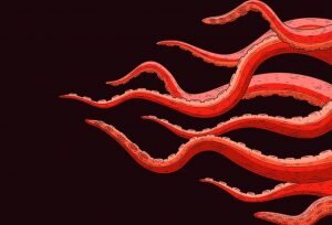    Фото: freepik.com Инга Ланская