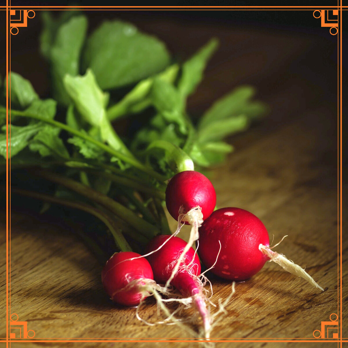 Источник фото: https://yesofcorsa.com/4k-radish/