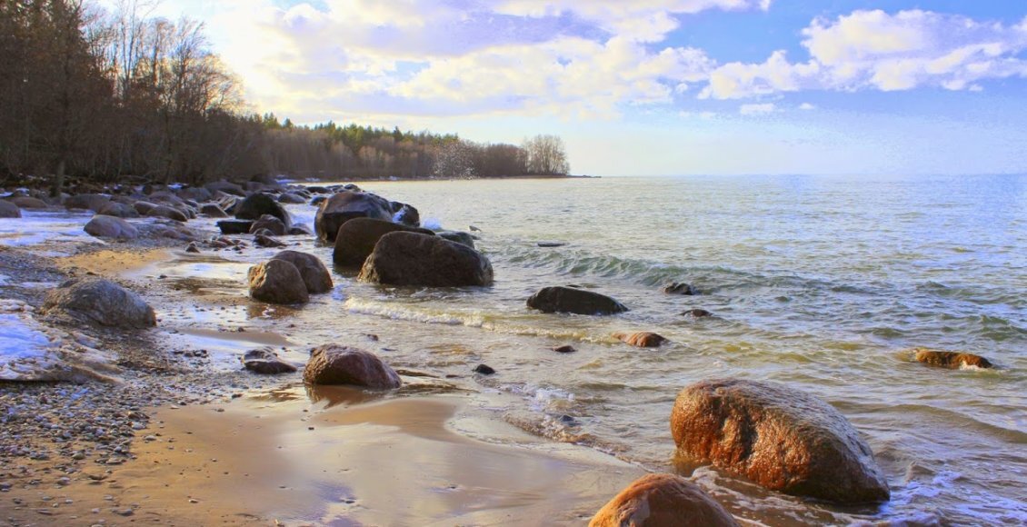    Фото: severnveter.ru