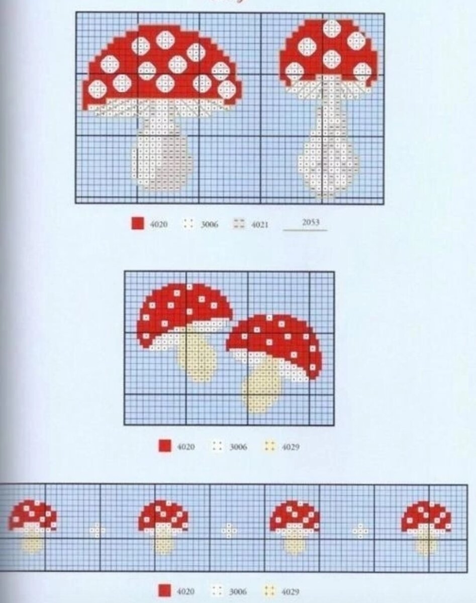 🍄🍄🍄