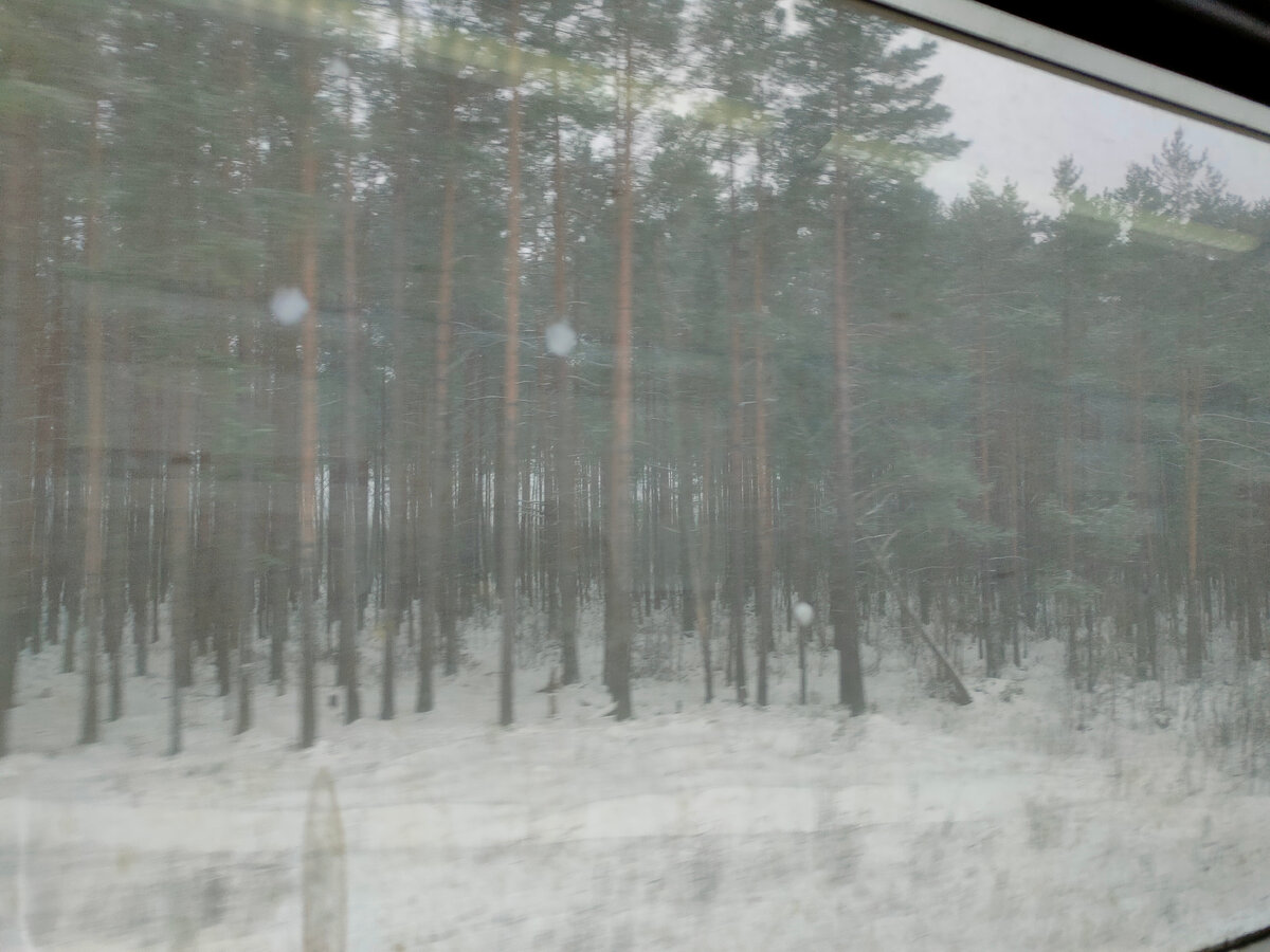 Из окна электрички. Кругом лес и метель