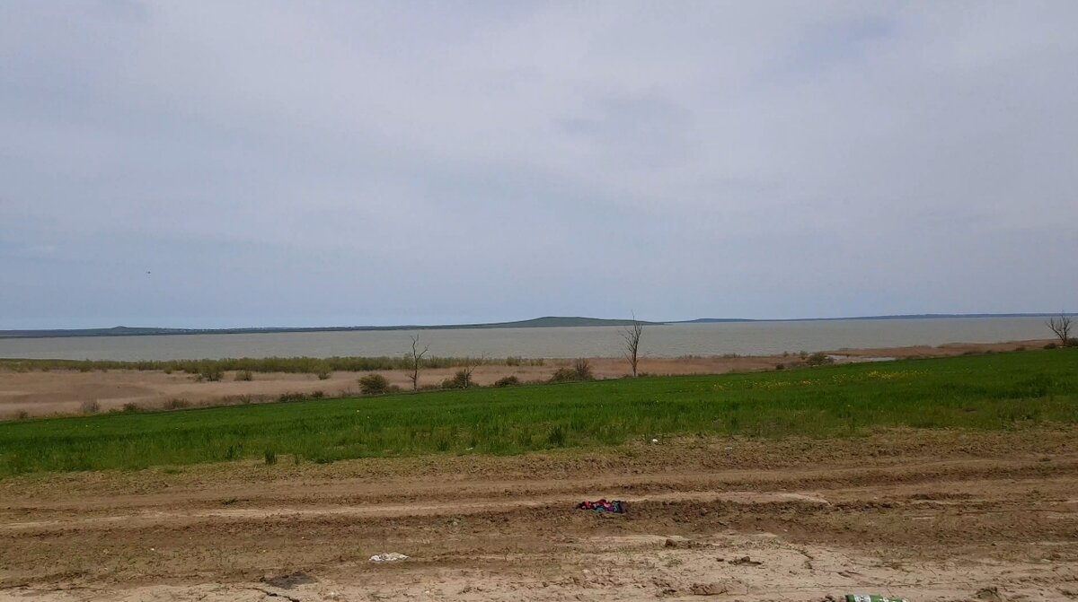 Краснодарский край, на дальнем плане - Азовское море. Апрель 2021г. 