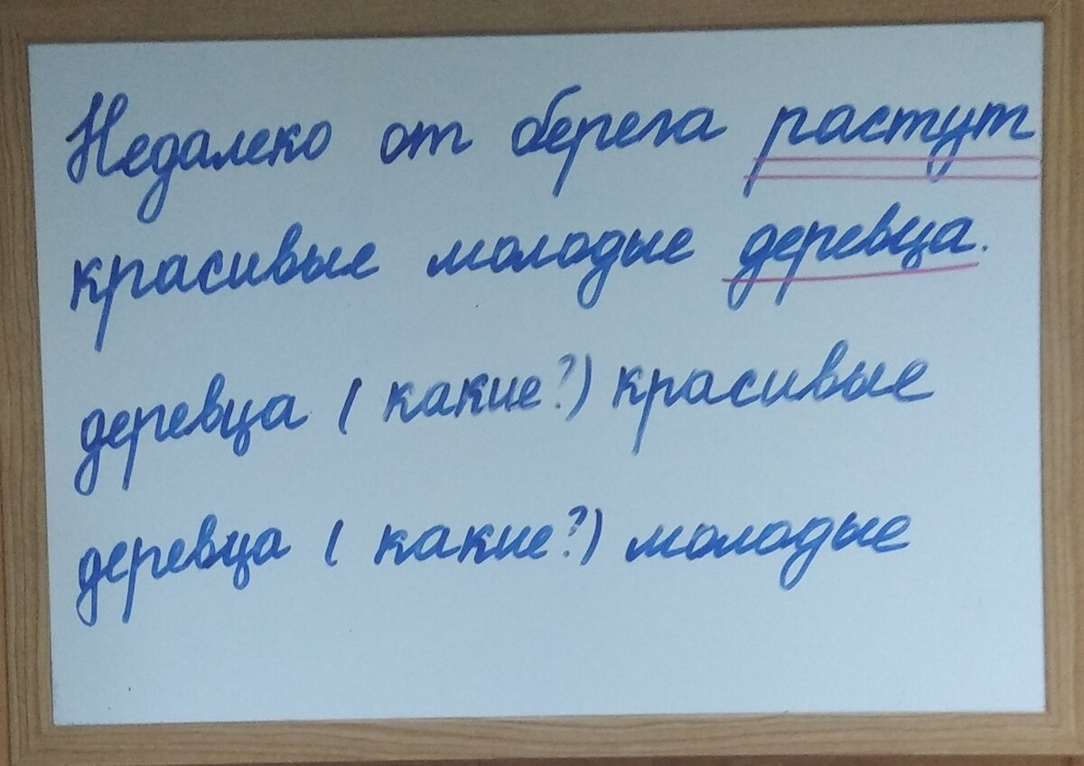 Задания по русскому языку для занятий летом. 3 класс. Занятие 1 | В помощь  родителям младшего школьника | Дзен