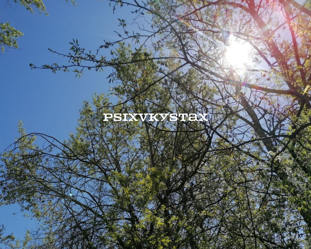 Фото из личного архива