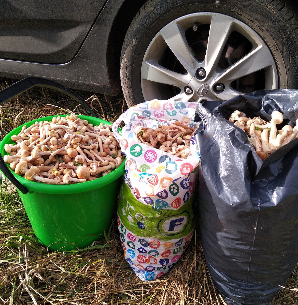 Фото Храмова