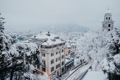 Фото автора oleg-magni: Pexels.com