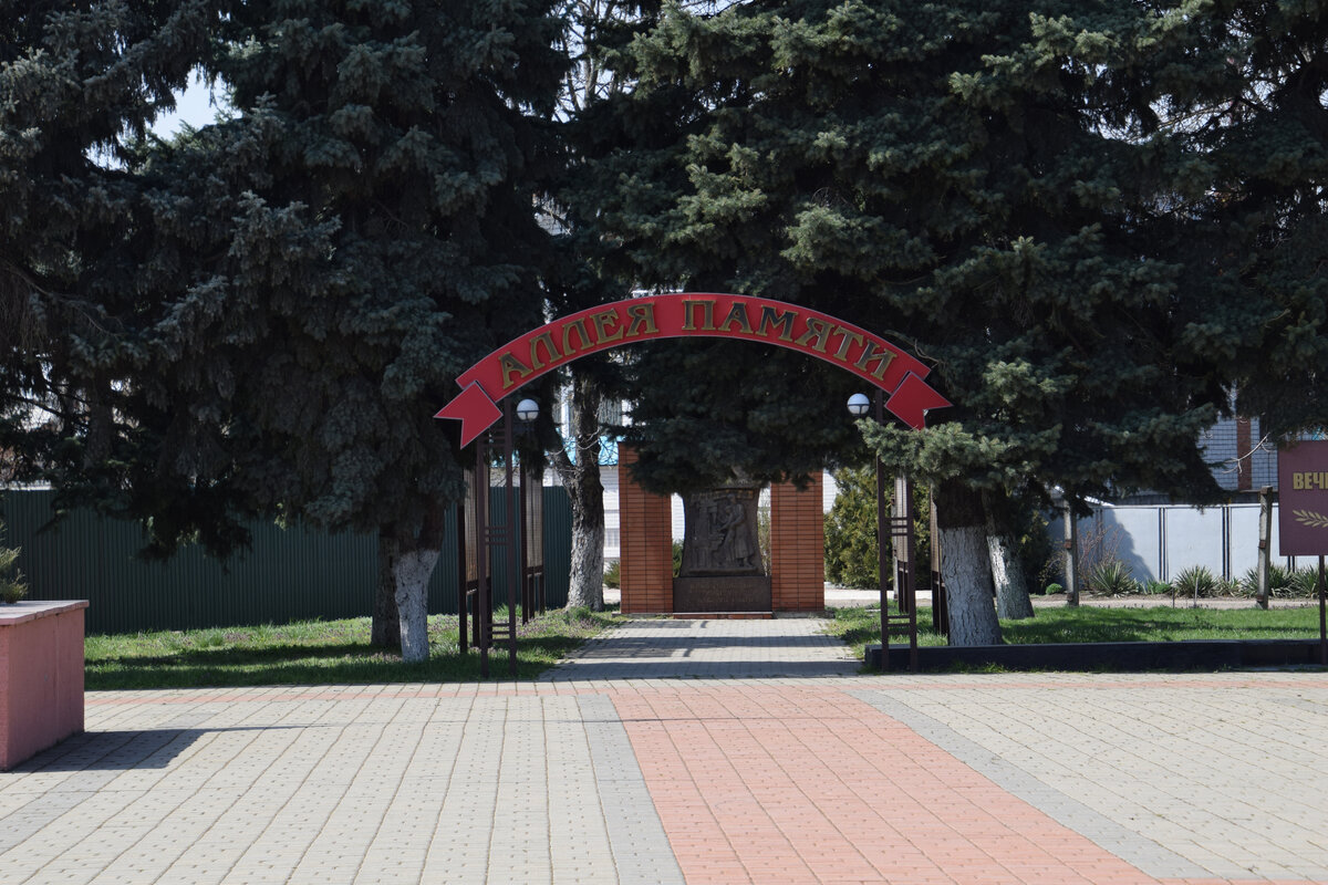 Аллея памяти картинки