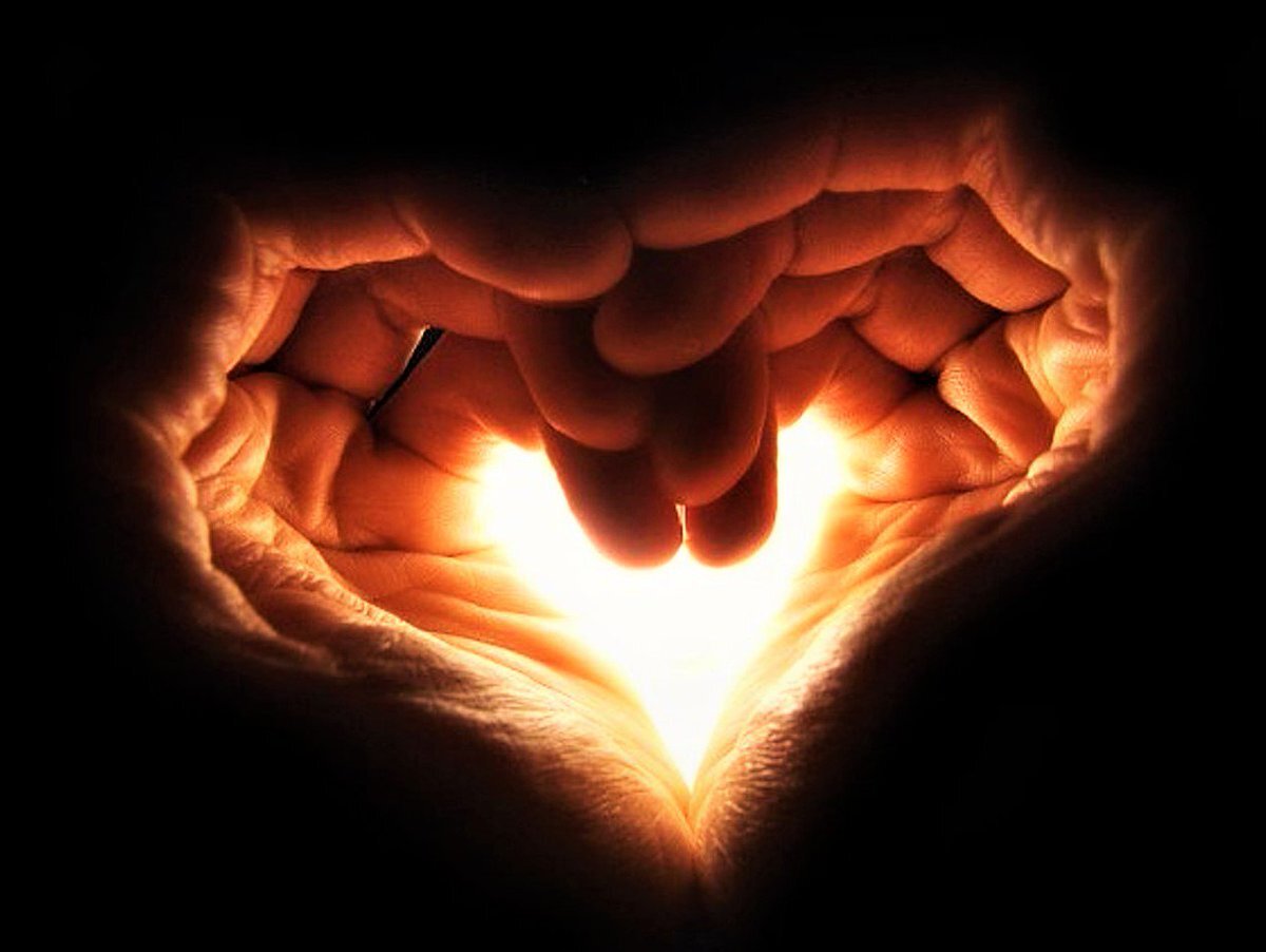 В последние годы в мире все больше людей умирает от сердечно-сосудистых заболеваний.-3