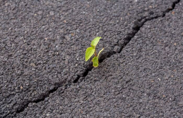 На сегодняшний день асфальт является наиболее используемым дорожным покрытием - он недолго укладывается, ровно ложится, а водителям по нему комфортно ездить. Но вот последнее происходит лишь при условии, если полотно новое и еще не имеет повреждений. А вот тут как раз возникает проблема: все чаще происходят ситуации, когда даже относительно свежий асфальт покрывается трещинами. И эта тенденция стала настолько распространенной, что попытку разобраться с этой проблемой предприняли даже ученые, которым, судя по всему, удалось найти выход их положения. Источник: https://novate.ru/blogs/230521/59098/