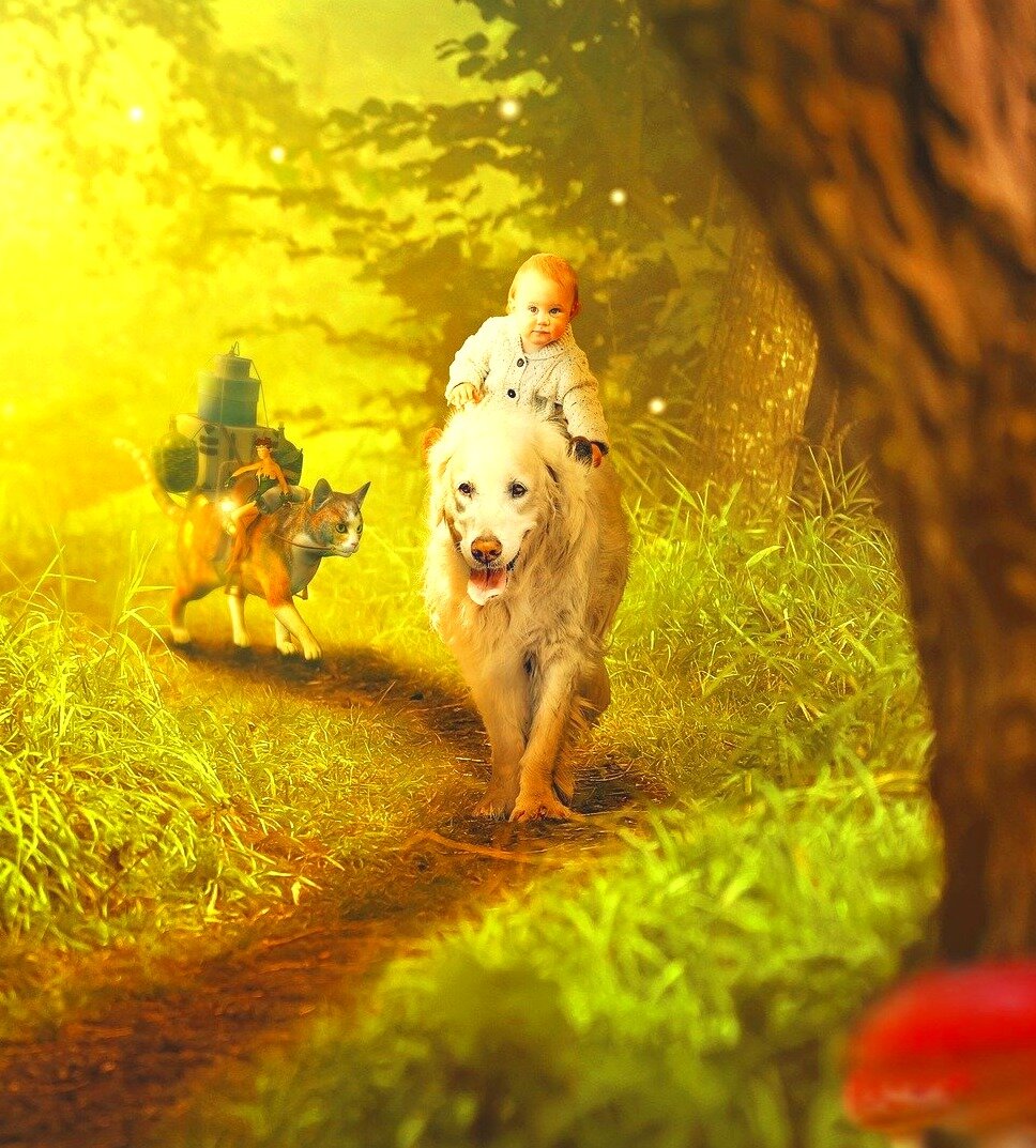 Бабушка сказала, что Анечка навсегда ушла в "другую страну"