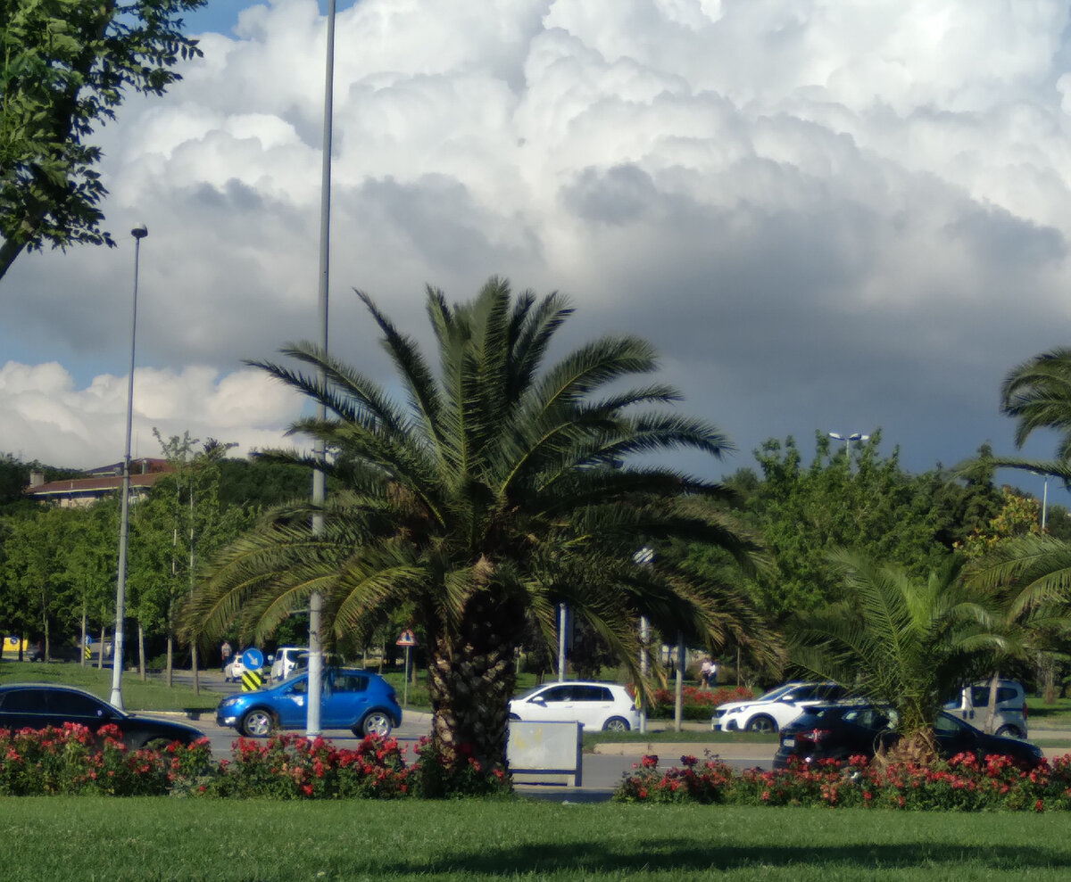 Личное фото