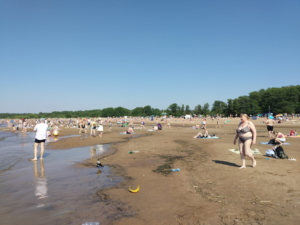 В Петербурге есть место, где есть возможность поплавать на лодке на Финском  заливе - парк Дубки в Сестрорецке | Вокруг Да около | Дзен