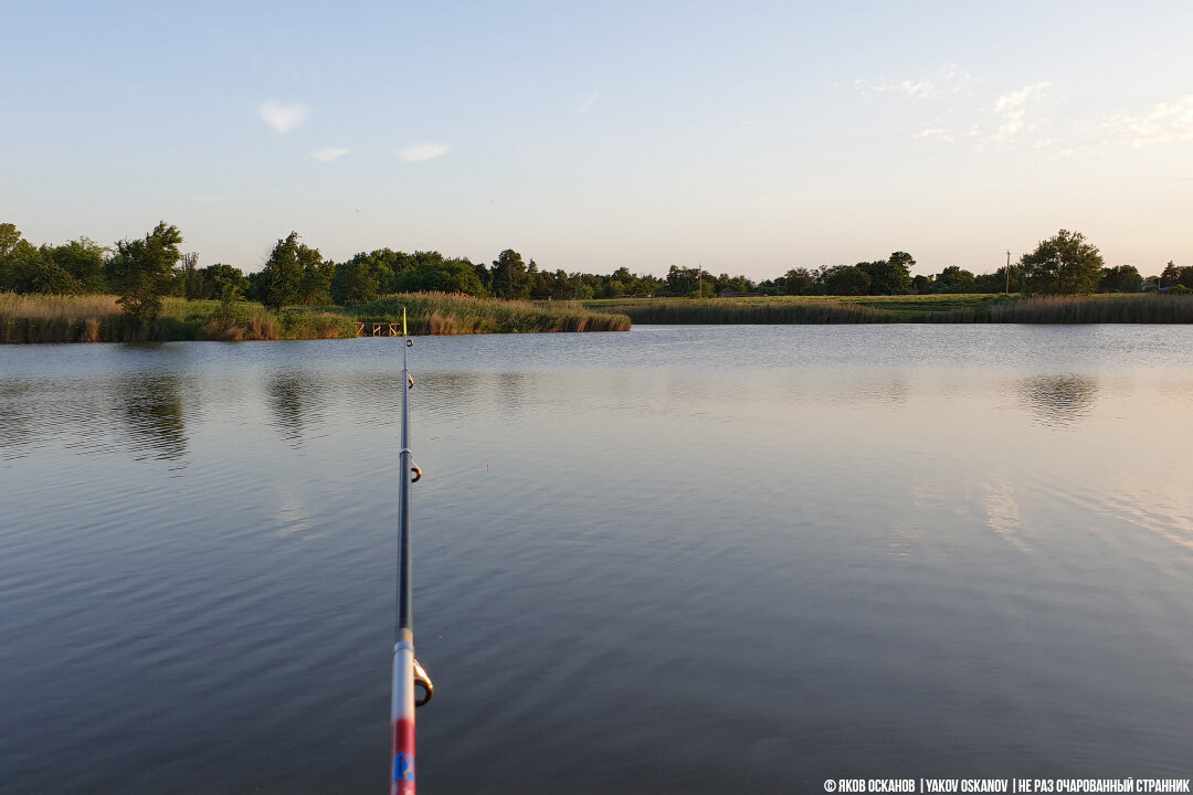Наш сельский пруд