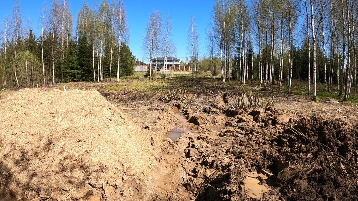 Спилили все кусты, подробили их в щепу.