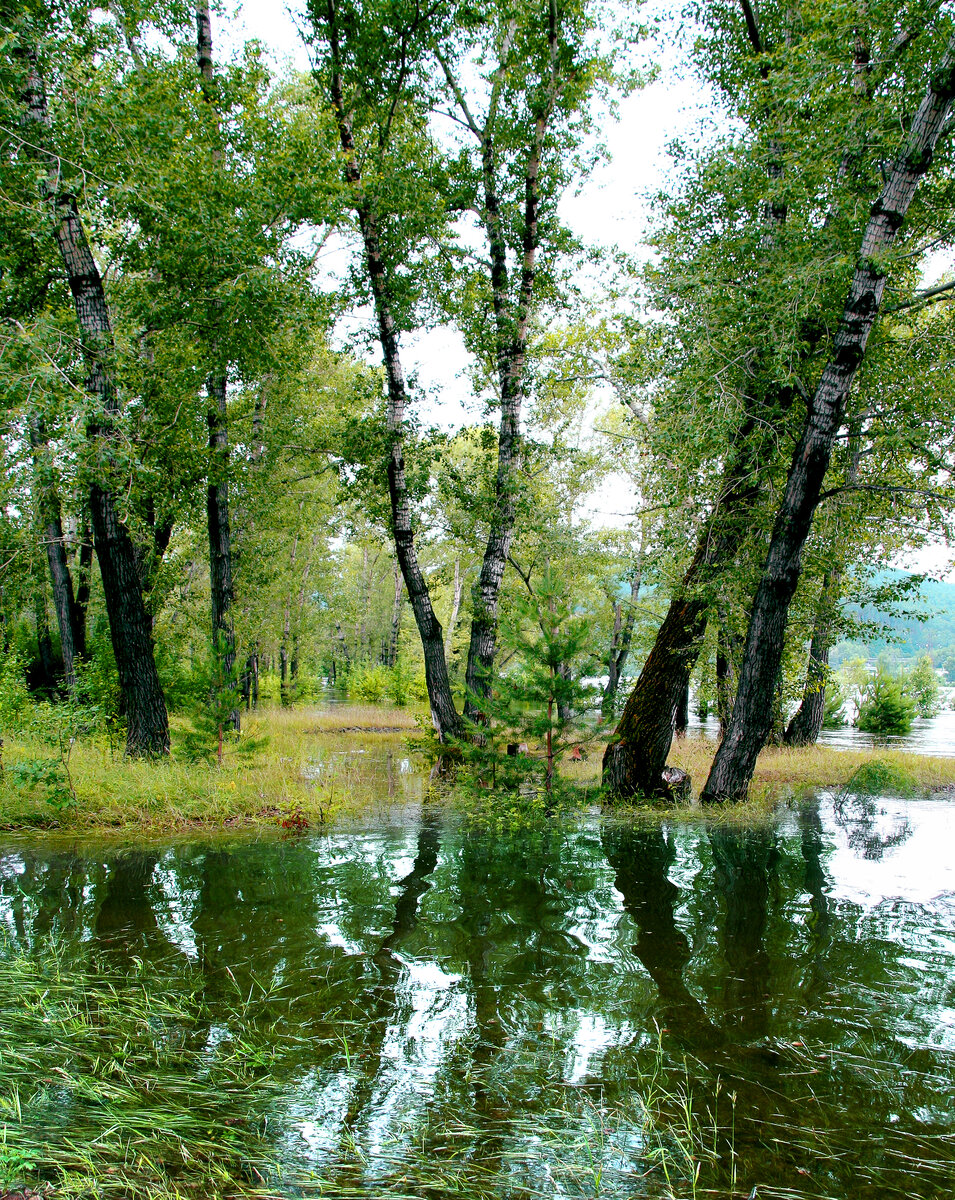 Фотография, стихотворение Василия Глуцкого