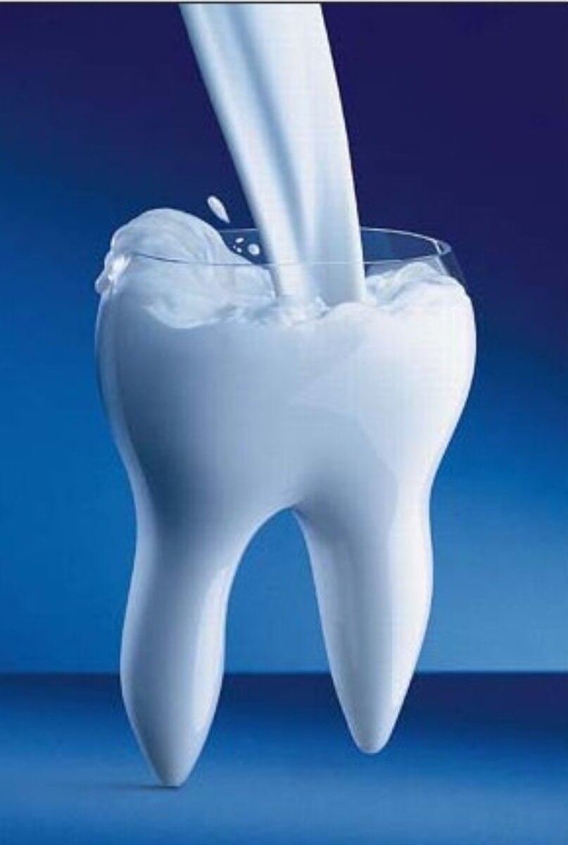 Крепкие зубы. Молоко полезно для здоровья. Зуб в молоке зачем. Зуб в молоке зачем. Слоган для стоматологии.