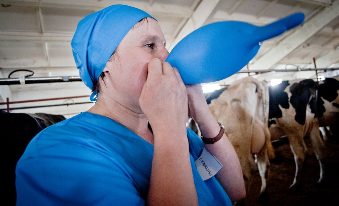 Поет доярка. Девушка доярка. Фотосессия доярка. Деревенские доярки. Молодая доярка.