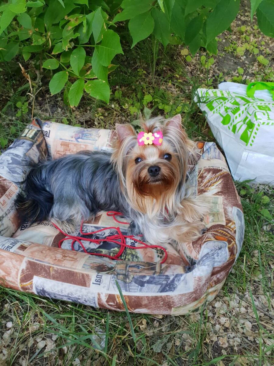 Мама, дважды КЧР России, на отлично