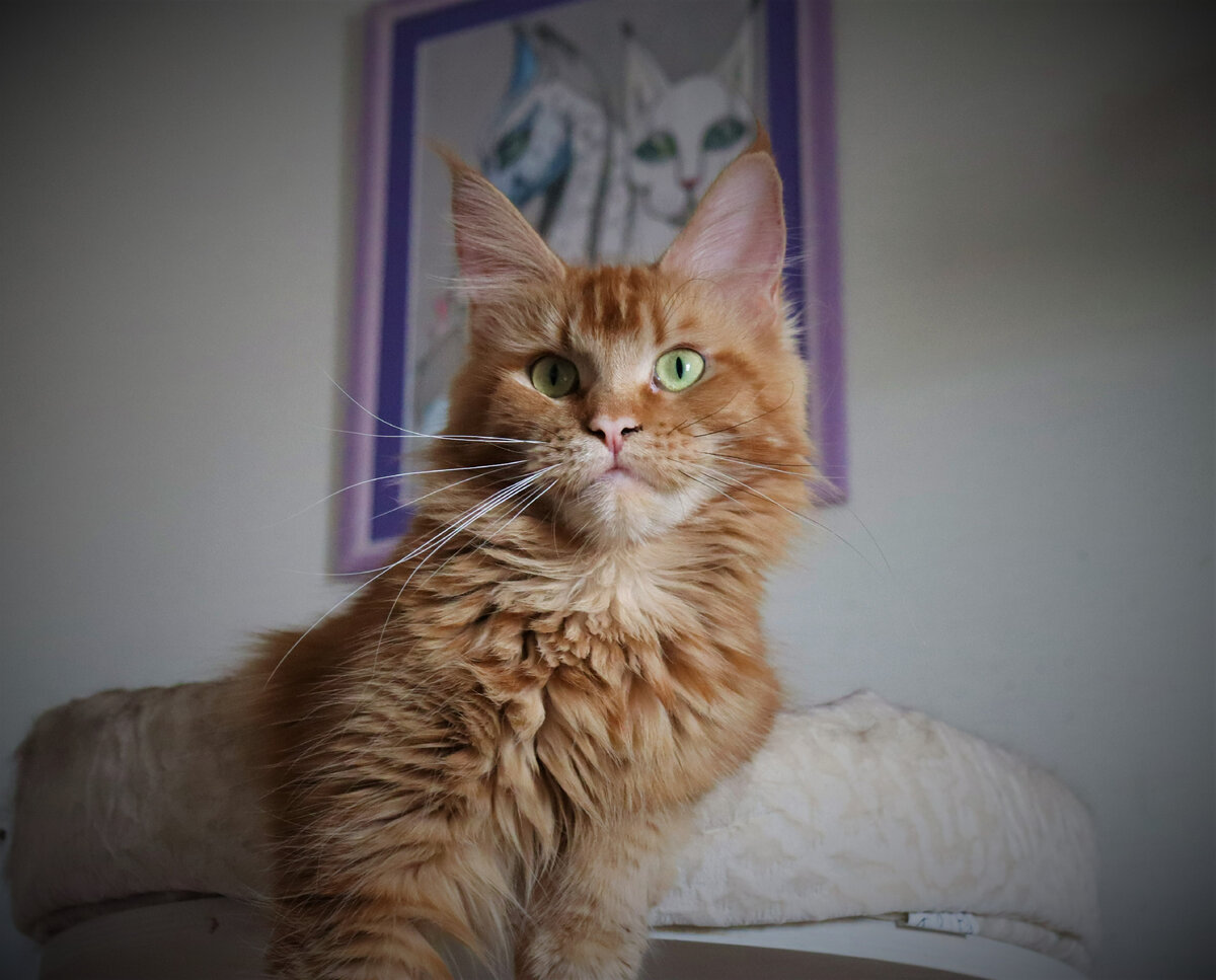 Фото из личного архива. 