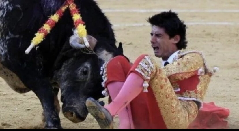  автор http://www.haathichiti.com