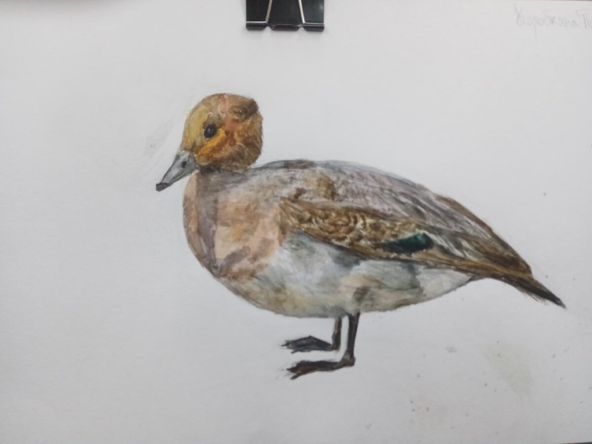 работа автора