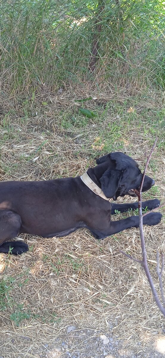 А это так сказать после! 