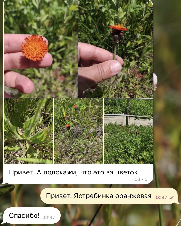 Из рубрики «Нам пишут» :)