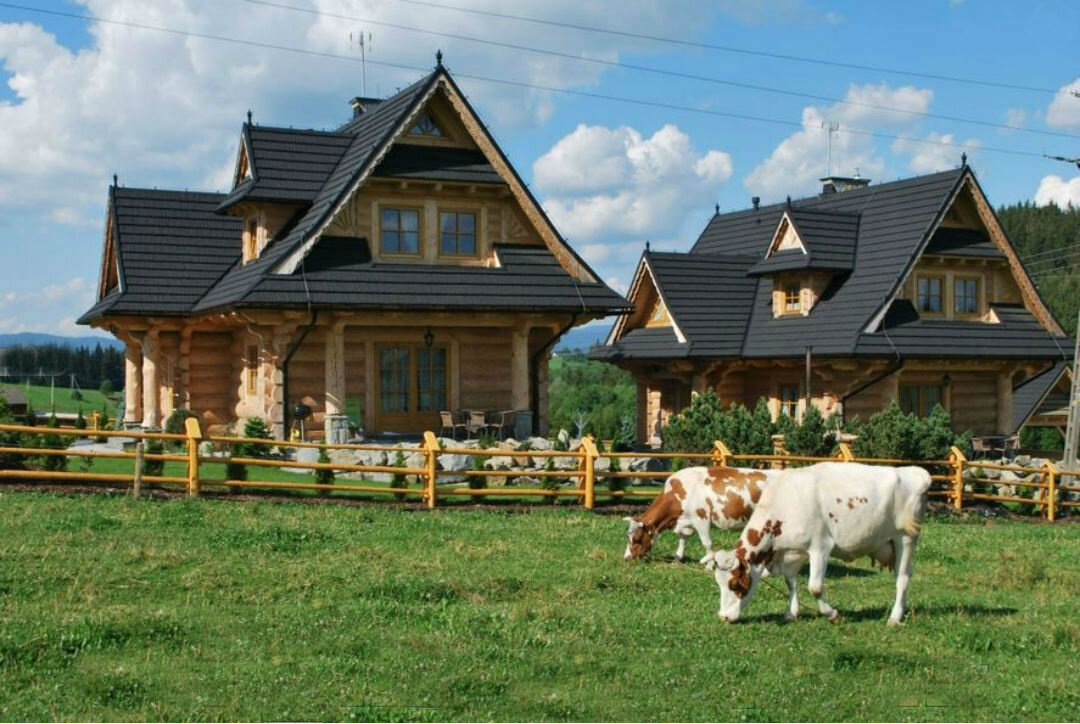 Фото из открытого доступа в сети интернет, для иллюстрации рассказа