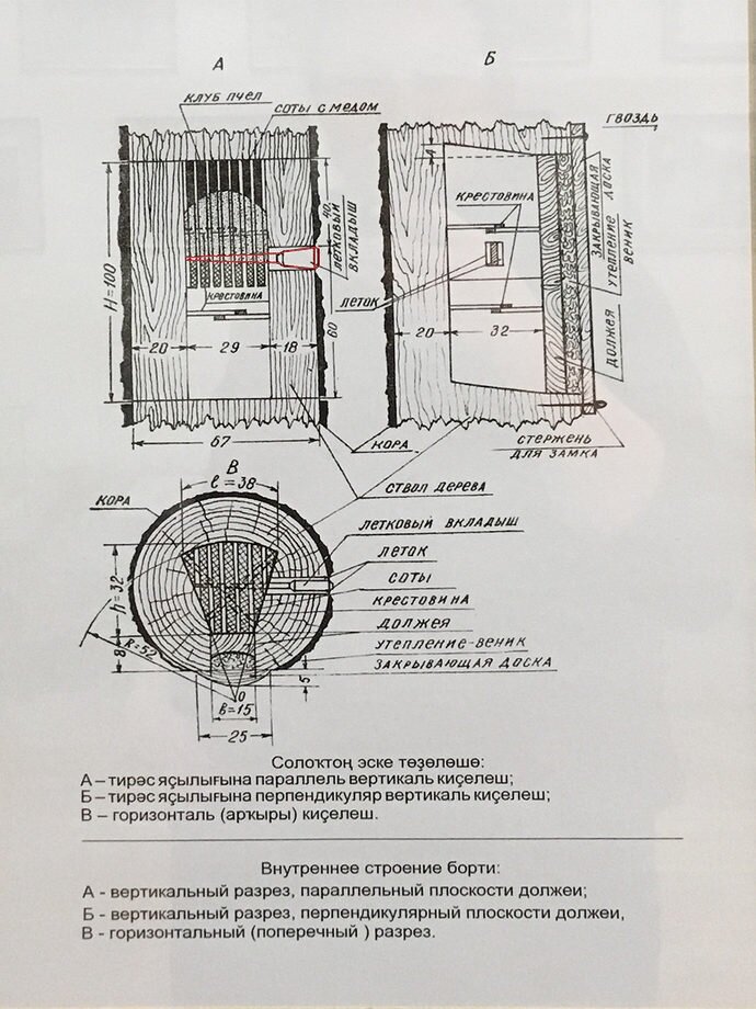 На схеме красным я выделил летковый клиновидный вкладыш (вид сбоку)