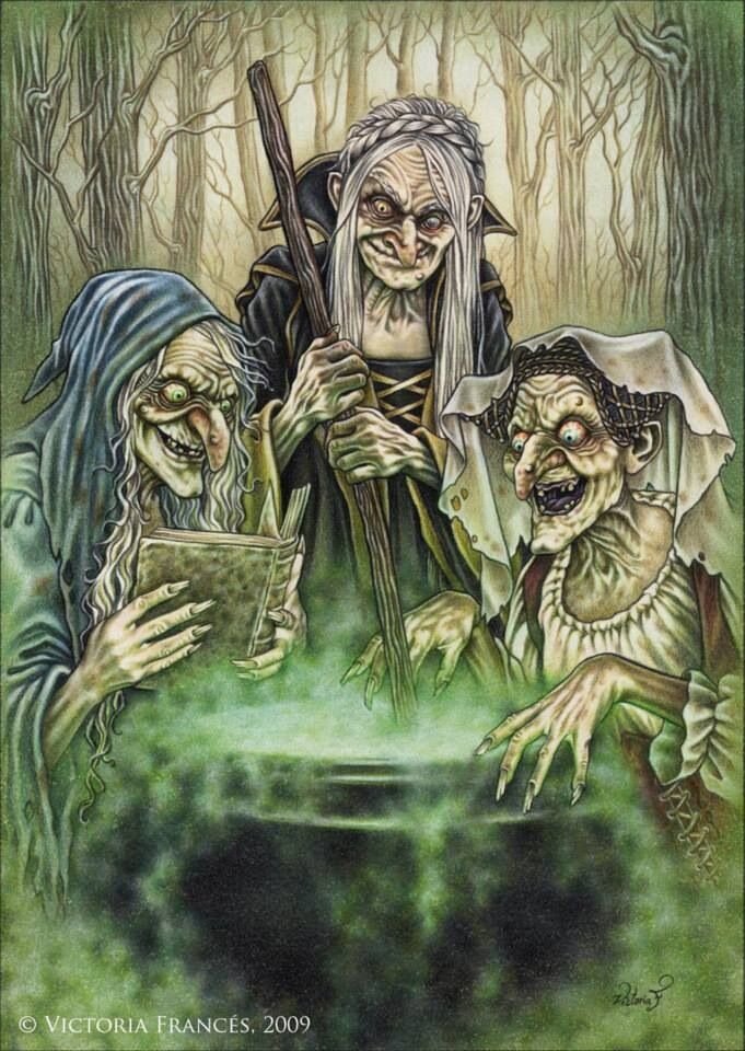 серпентарий обыкновенный, встречается в женских коллективах провинции и столицы