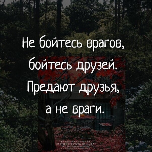 взято из ВКонтакте