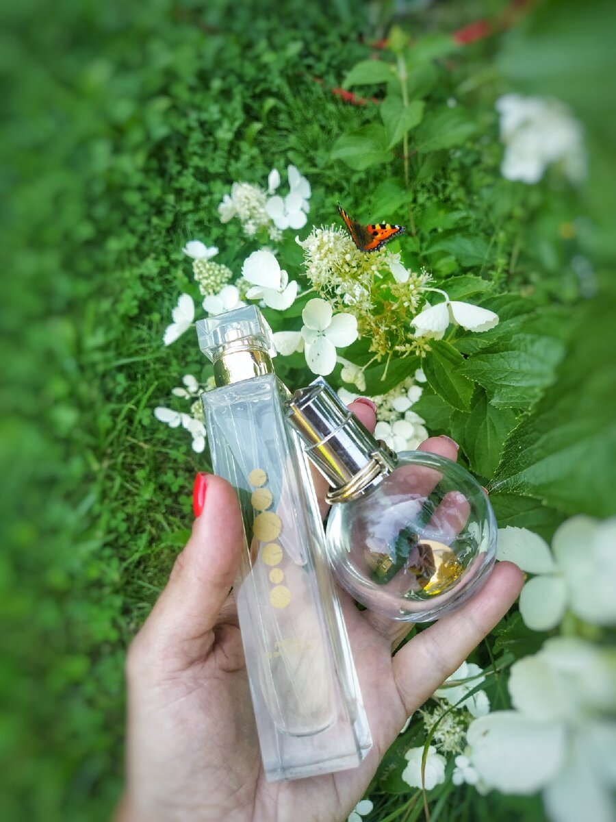 102 аромат


Сегодня я и мои близкие в составе 7 человек дружно тестируем 102 аромат, сравнивая его с оригиналом Eclat D'Arpege от LANVIN. Это будет интересно P.S. Бабочки сами меня находят, как Вы заметили на представленном фото.
Бабочка не пострадала

Уникальные украшения, парфюм от Essens https://vk.com/public214858626