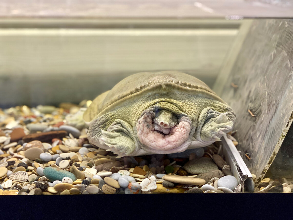 Гадя Петрович в это время сладко спит. Ему повезло - нет необходимости взаимодействовать со Сбербанком