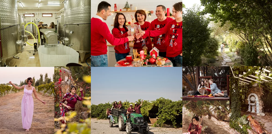 Фото винодельни Uzumfermers в Ташкенте. Источник: uzumfermer.uz