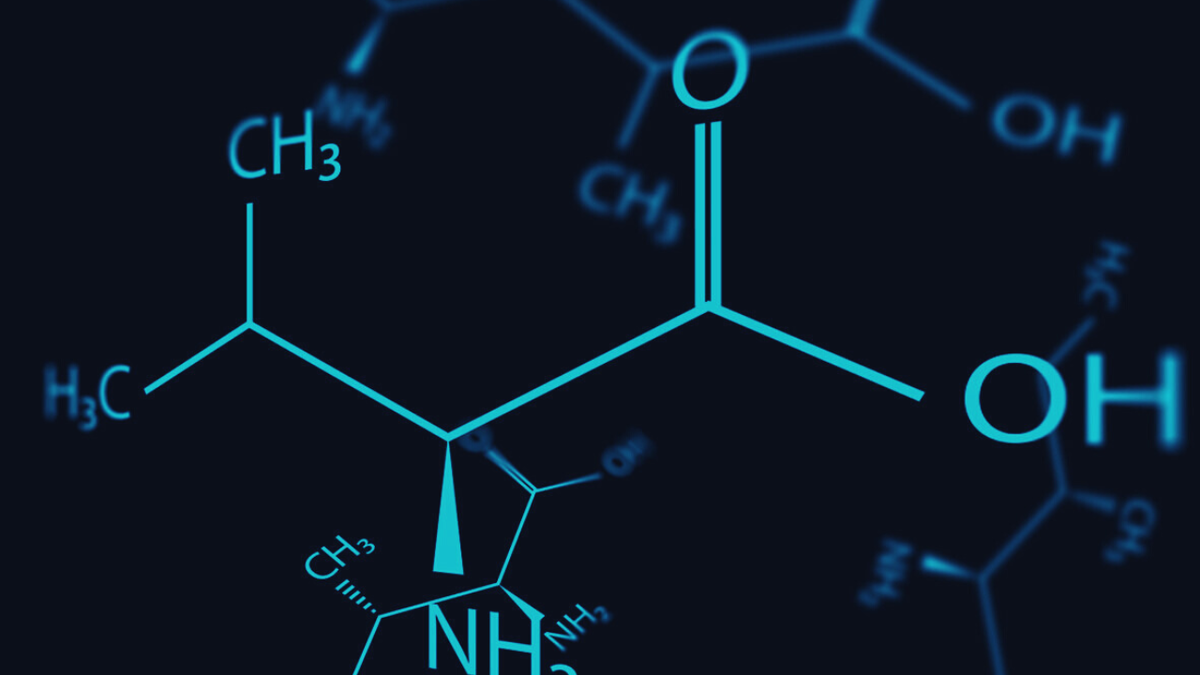 BCAA против Q10, что поможет стать сильнее, разбор спорт-пита | FIT FOR ...