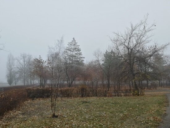     Архив "МК в Оренбурге"