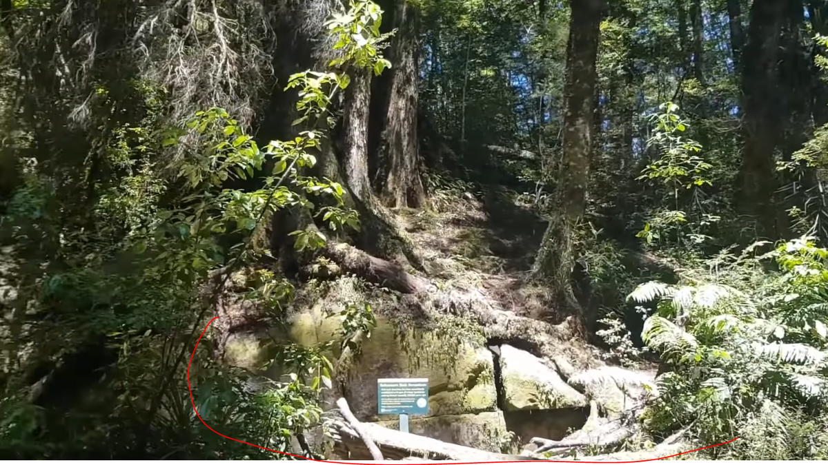 Изображение взято из открытого источника