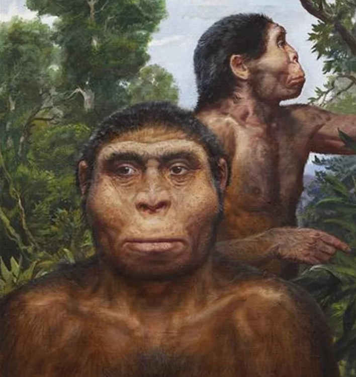 Самый древний человек. Архантропы (homo Erectus). Человек прямоходящий питекантроп синантроп. Homo Erectus Erectus питекантроп. Первобытные люди хомо Эректус.