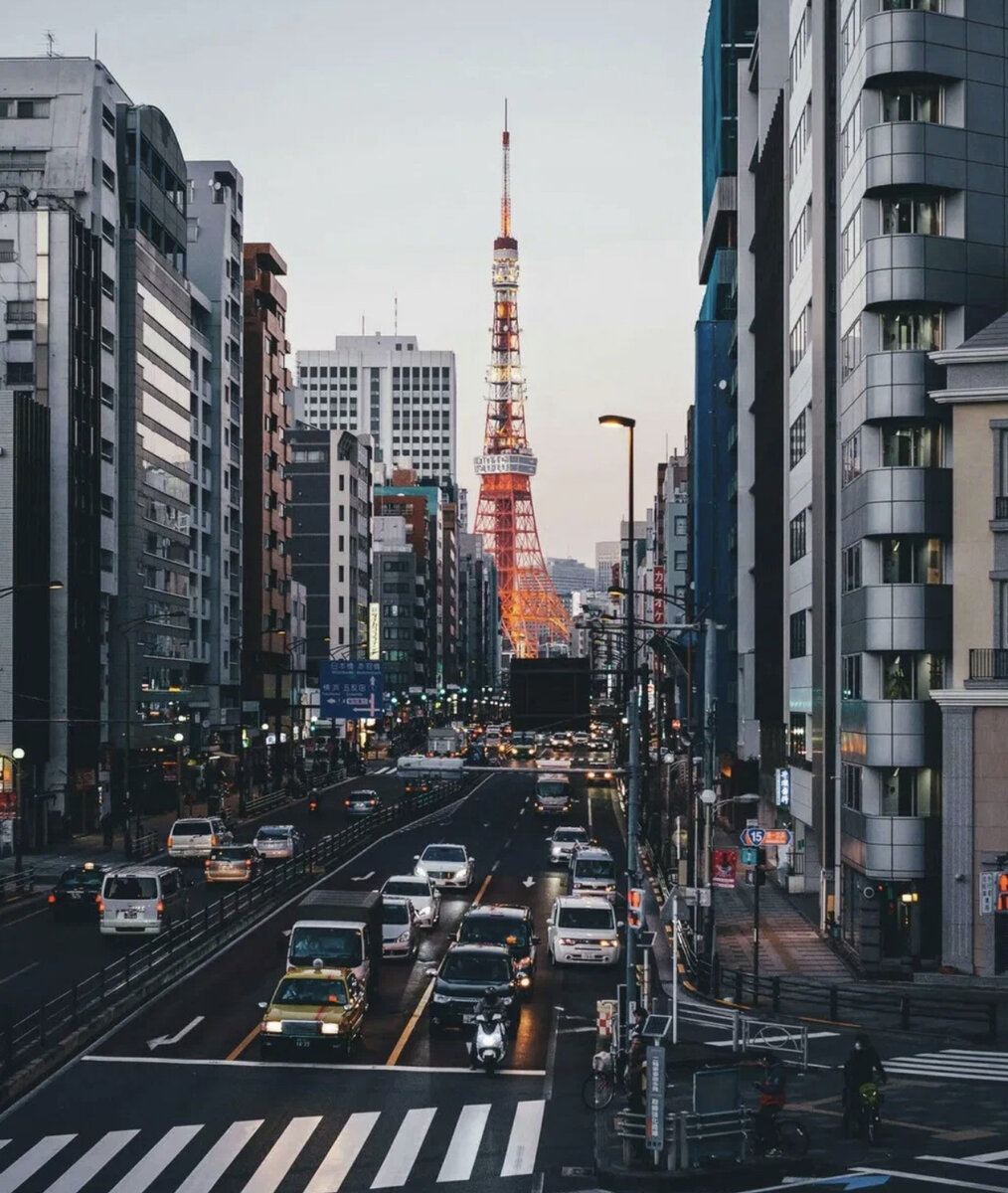 🇯🇵- Выжить в Японии #26 - Глава в которой автор пытается спрятаться от  землетрясения. | 📓-Дневник перелетной птицы✓ | Дзен