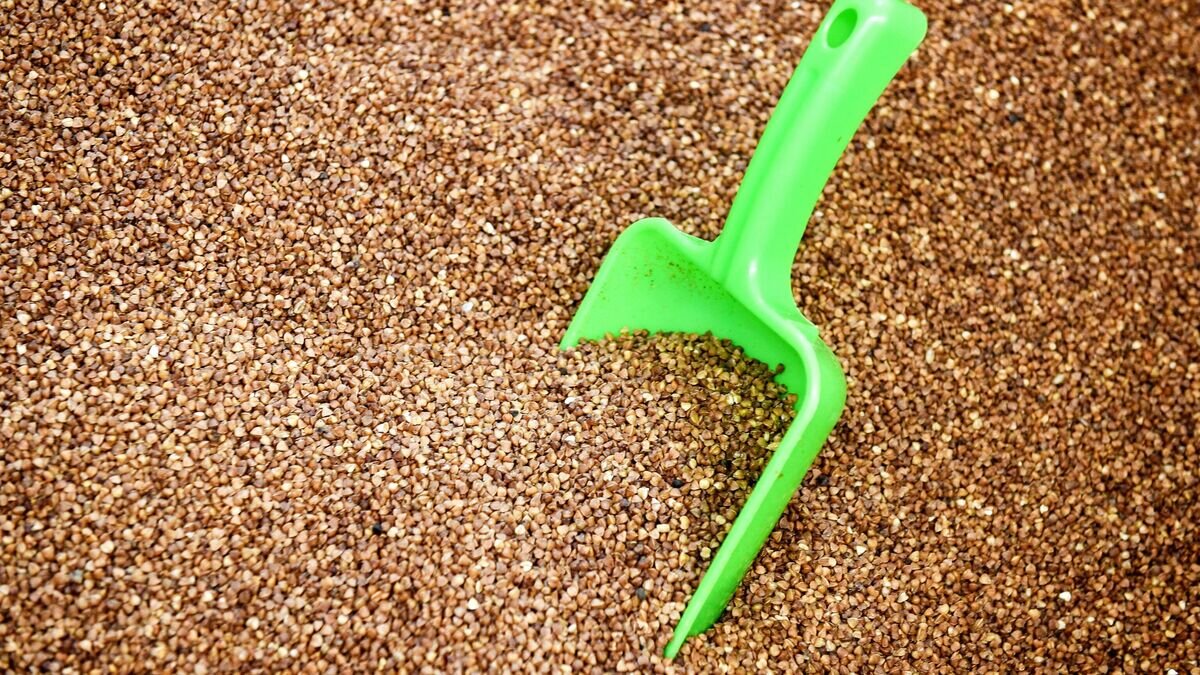    Гречневая крупа, продающаяся на развес© РИА Новости / Константин Михальчевский