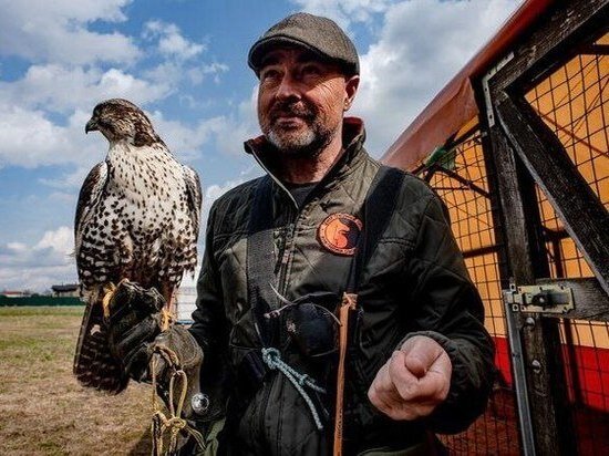     Фото: Центр соколиной охоты Константина Соколова