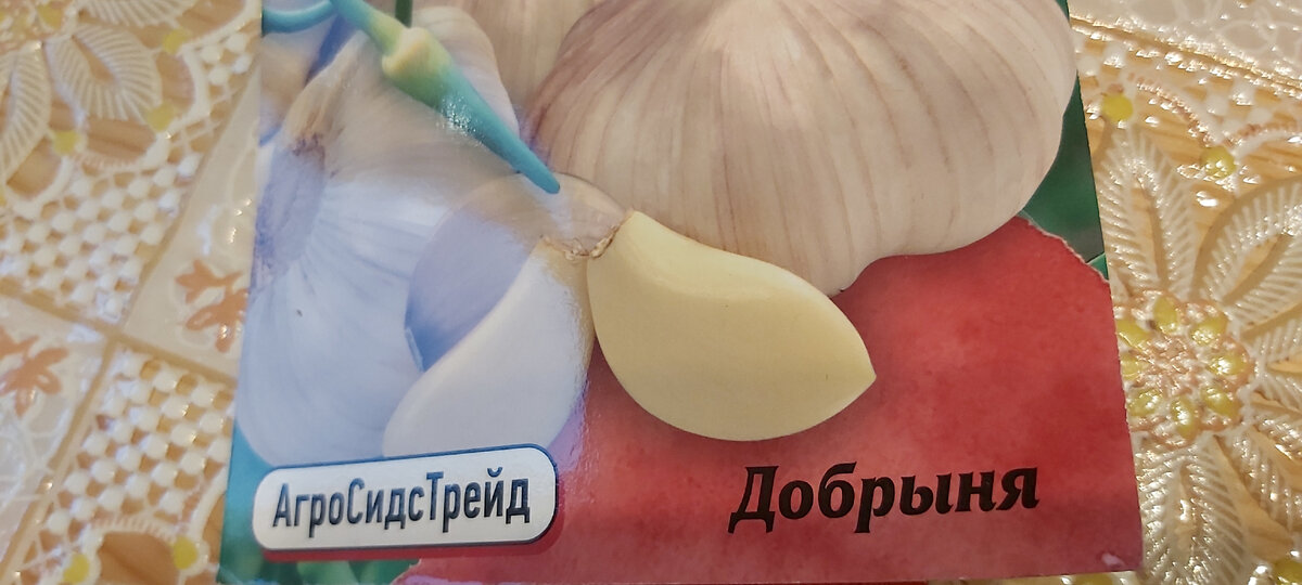 Чеснок «Добрыня» от АгроСидсТрейд